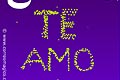 Tarjeta de Declaraciones. amor luminoso