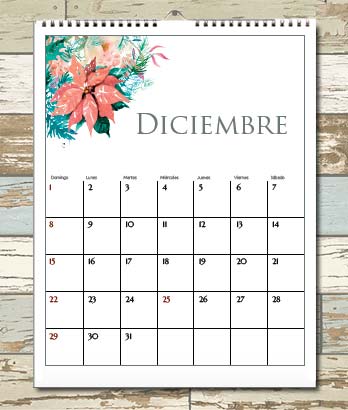 Calendario puro pelo 2019: descarga e imprime