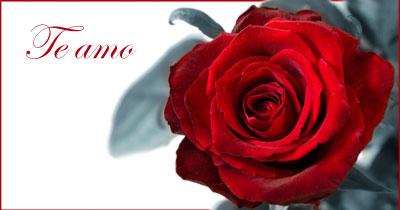 Imagen de Amor para compartir - Feliz Dia de San Valentin
