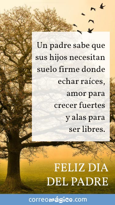 Un padre sabe que sus hijos necesitan un suelo firme donde hechar raices, amor para crecer fuertes y alas para ser libres