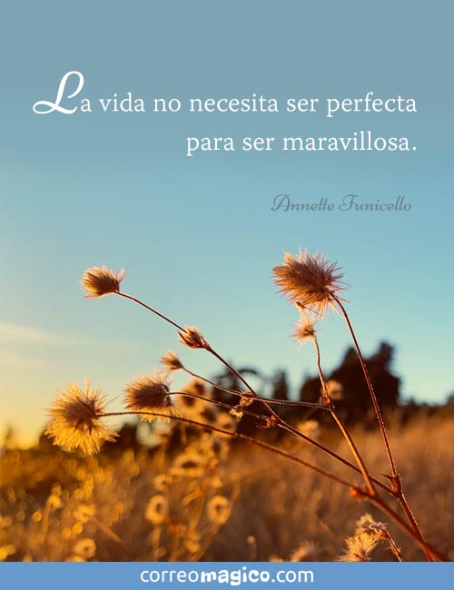 La vida no necesita ser perfecta para ser maravillosa.  
- Annette Funicello