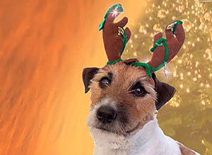 Tarjeta de Navidad para compartir. ladridos navideos