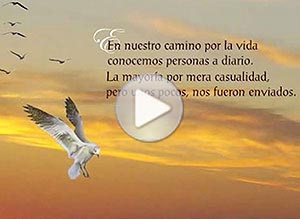 Tarjeta animada de Amistad. enviado del cielo