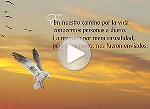 Imagen de Amistad para compartir gratis. Enviado del Cielo