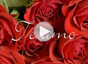 Tarjeta animada de Amor. Rosas