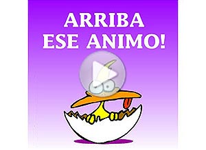 Animo ecard. arriba!