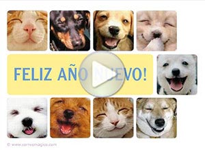 Tarjeta animada de Año Nuevo. una sonrisa cada da