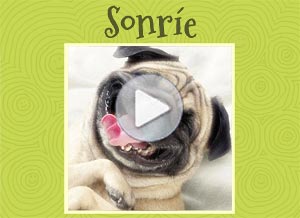 Tarjeta animada de Hola. sonre!