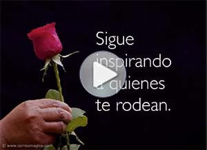 Día de la mujer ecard. para ti