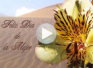 Día de la mujer ecard. oasis