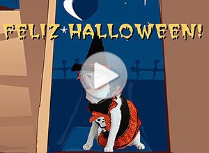 Halloween ecard. espantosas criaturas...