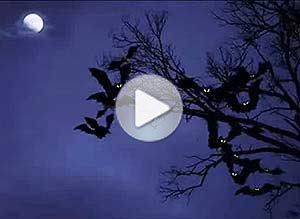 Halloween ecard. se viene la noche...