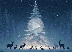 Tarjeta animada de Navidad. Paz, alegra y magia