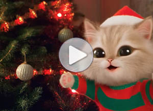 Tarjeta animada de Navidad. navidad felina