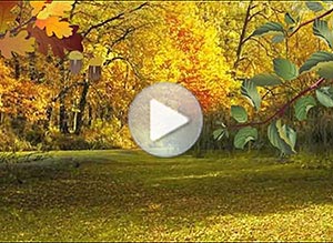 Otoño ecard. armona y felicidad