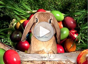 Tarjeta animada de Pascuas. el mismsimo conejo de pascuas
