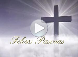 Pascuas ecard. jess ha resucitado