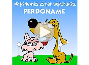 Imagen de Perdn para compartir gratis. No podemos estar separados