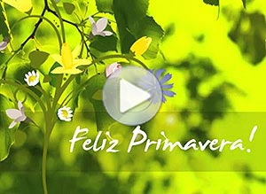 Imagen de Da de la Primavera para compartir gratis. Los ms bellos colores de la vida