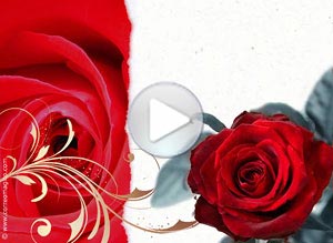 Imagen de San Valentn para compartir gratis. Te amo y te elijo para siempre