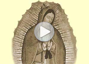 Santos ecard. feliz da de la virgen de guadalupe