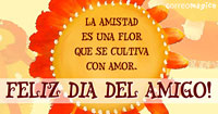 La amistad es una flor que se cultiva con amor. Feliz dia del amigo