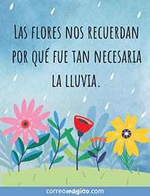 Las flores nos recuerdan
por qu fue tan necesaria
la lluvia.