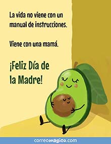 La vida no viene con un manual de instrucciones. <BR>Viene con una mam. <BR>Feliz Da de la Madre!