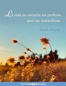 La vida no necesita ser perfecta para ser maravillosa.  
- Annette Funicello