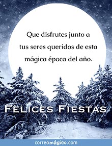 Que disfrutes junto a tus seres queridos de esta mgica poca del ao. 
FELICES FIESTAS