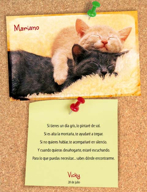 . amistad_gatos