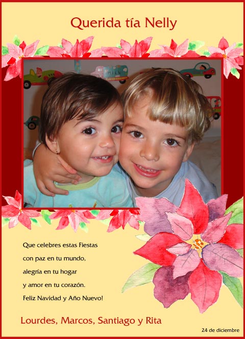 Preview de fotonavidad_flores