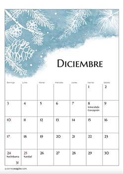 Diciembre - Calendario 2024 Flores