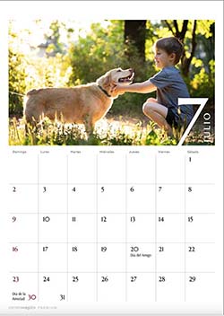 Julio - Calendario 2026 Momentos