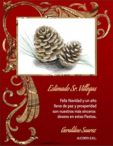 Navidad